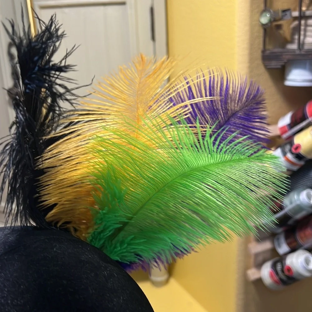 Mardi Gras Mask